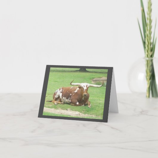 Longhorn Note Card Kaart (Voorkant)