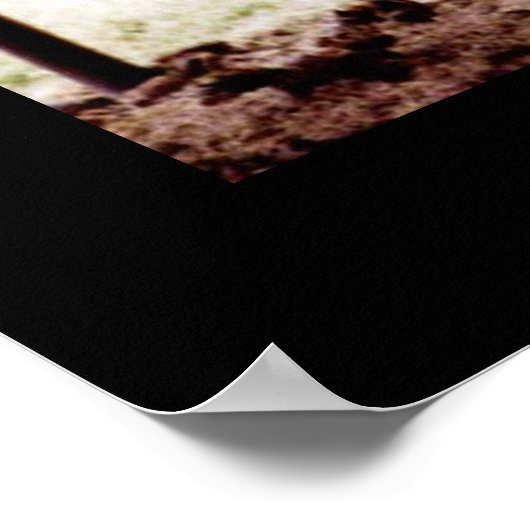 Longhorn Poster (Hoek)