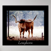 Longhorn Poster (Voorkant)