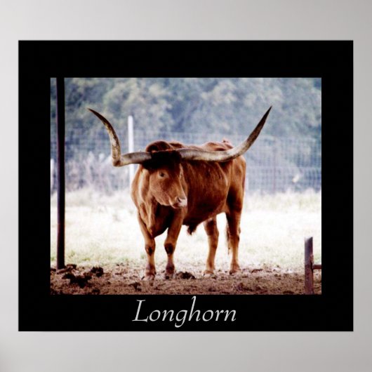 Longhorn Poster (Voorkant)