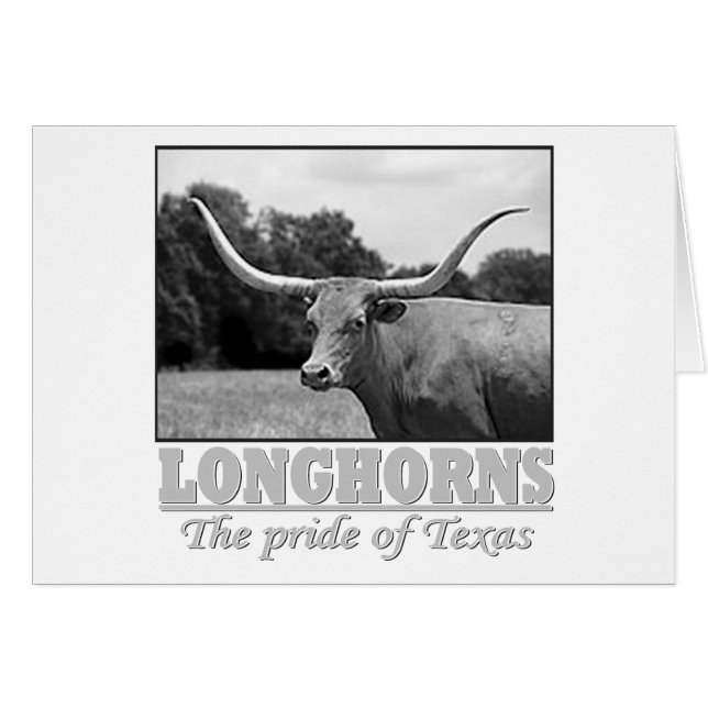 longhorn_pride (Voorkant Horizontaal)