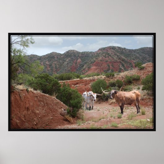 Longhorn Ravine Poster -60 x 40 (Voorkant)