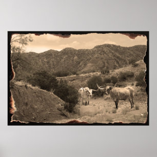 Longhorn Ravine Sepia Poster -60x40