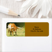 Longhorn rundvee retour adres label. etiket (Insitu)