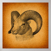 Longhorn Sheep Antiek Art Rustisch Sinaasappel Poster (Voorkant)