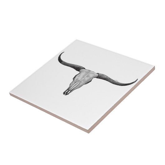 Longhorn Skull Tegeltje (Zijkant)