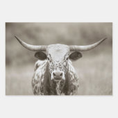  Longhorn Steer Cattle Decoupage Inpakpapier Vel (Voorkant 2)