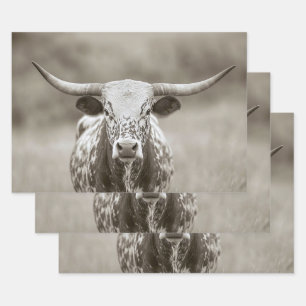  Longhorn Steer Cattle Decoupage Inpakpapier Vel