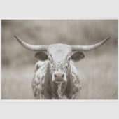 Longhorn Steer Cattle Decoupage Tissuepapier (Voorkant)
