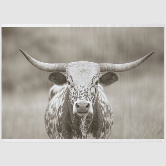 Longhorn Steer Cattle Decoupage Tissuepapier (Voorkant)