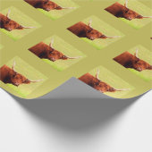Longhorn Steer Groene Achtergrond Originele Foto Cadeaupapier (Hoek)