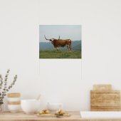 Longhorn Steer in de Ozarks - kies grootte & canva Poster (Keuken)