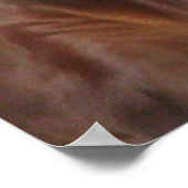 Longhorn Steer Poster (Hoek)