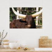 Longhorn Steer Poster (Keuken)