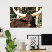 Longhorn Steer Poster (Thuiskantoor)