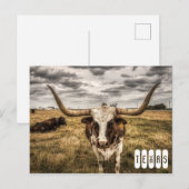 Longhorn Texas Ansichtkaart Briefkaart (Voorkant / Achterkant)