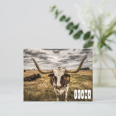 Longhorn Texas Briefkaart (Staand voorkant)