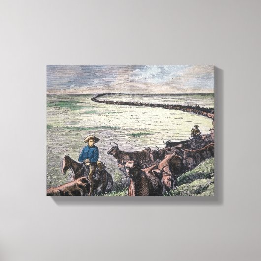 Longhorn, vee, van Texas naar Abilene, Kansa Canvas Afdruk (Voorkant)