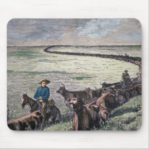Longhorn, vee, van Texas naar Abilene, Kansa Muismat