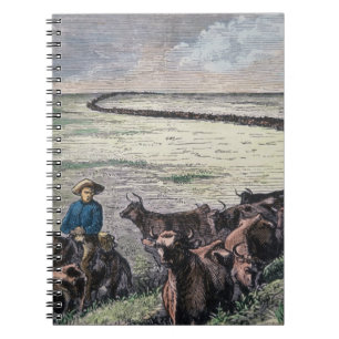 Longhorn, vee, van Texas naar Abilene, Kansa Notitieboek