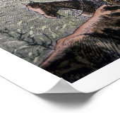 Longhorn, vee, van Texas naar Abilene, Kansa Poster (Hoek)