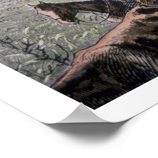 Longhorn, vee, van Texas naar Abilene, Kansa Poster (Hoek)