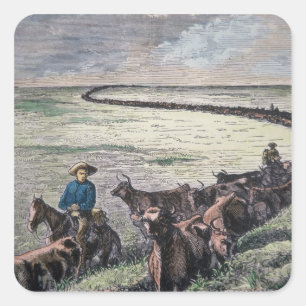 Longhorn, vee, van Texas naar Abilene, Kansa Vierkante Sticker