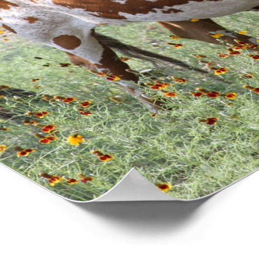 Longhorns Poster (Hoek)