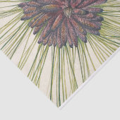 Longleaf Pine van Mary Vaux Walcott Tissuepapier (Detail)