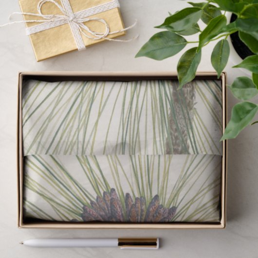 Longleaf Pine van Mary Vaux Walcott Tissuepapier (Geschenk)