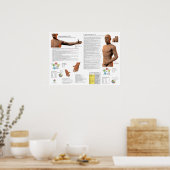 Longmeridiaan Acupunctuurpunten Poster (Keuken)