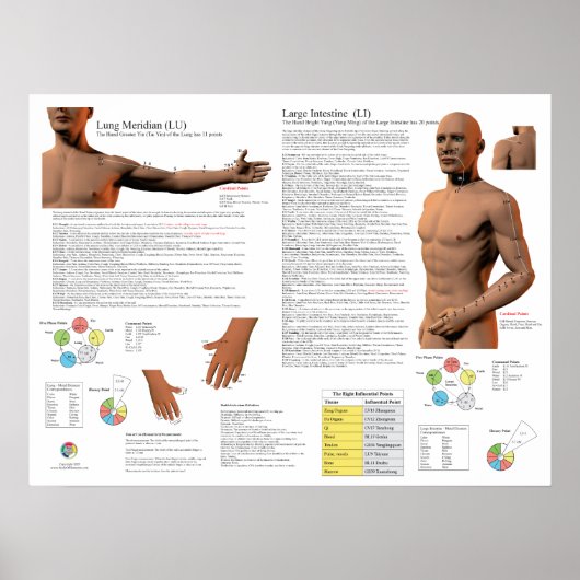 Longmeridiaan Acupunctuurpunten Poster (Voorkant)