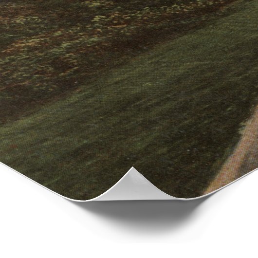 Longmire Springs, WA — Uitzicht van het Nationaal  Poster (Hoek)