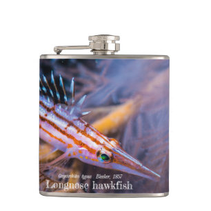 Longnose havikvis heupfles