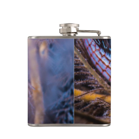 Longnose havikvis heupfles (Achterkant)