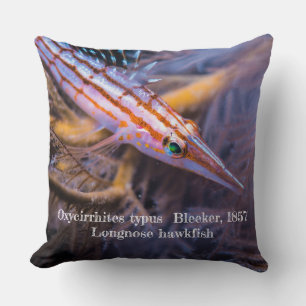 Longnose havikvis kussen