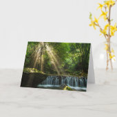 Longquan Glamoureek Creek Kaart (Gele Bloem)