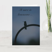 Longruwelijke Hummingbird Kaart (Voorkant)