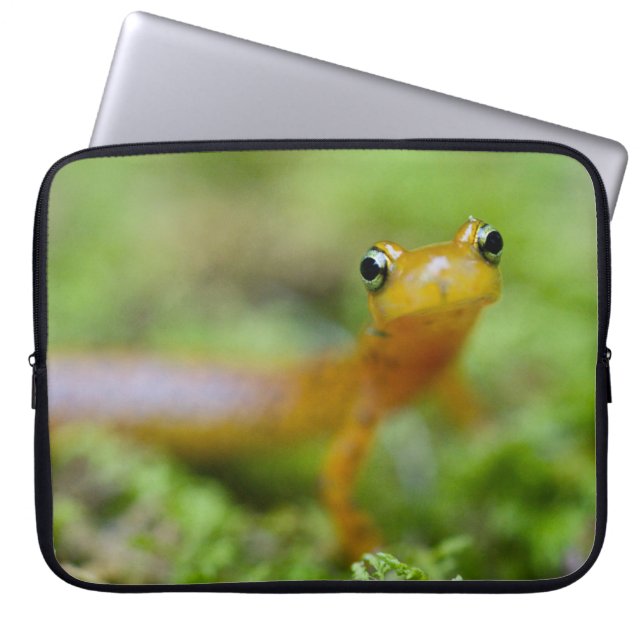 Longtail Salamander Laptop Sleeve (Voorkant)
