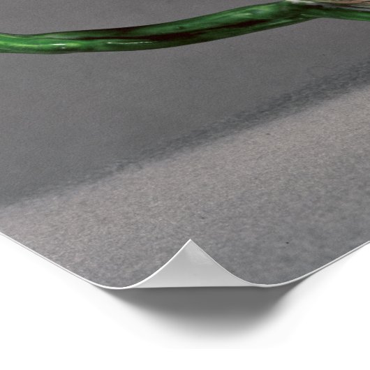 Longton Hall teapot, c.1755 Poster (Hoek)