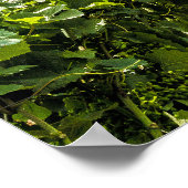 Longuich Moselle Vineyard Panorama Duitsland Poster (Hoek)