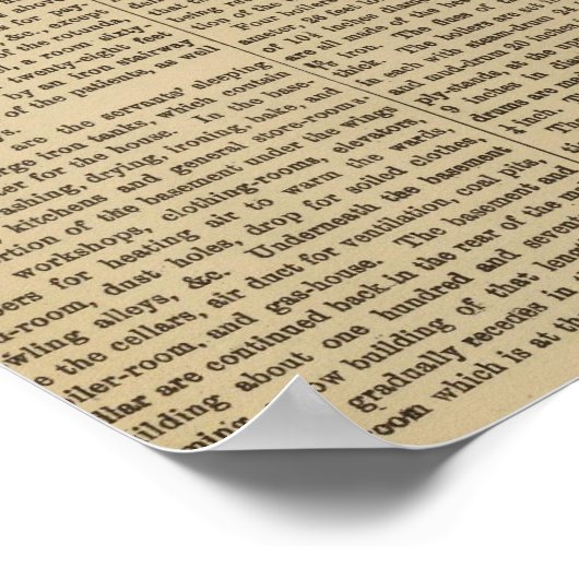 Longview Asylum, Ohio Poster (Hoek)