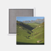 Longwall, Giant's Castle, Drakensberg Mountains, Magneet (Voorkant / Achterkant)