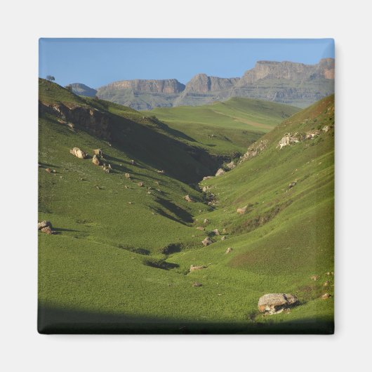 Longwall, Giant's Castle, Drakensberg Mountains, Magneet (Voorkant)