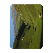 Longwall, Giant's Castle, Drakensberg Mountains, Magneet (Verticaal)