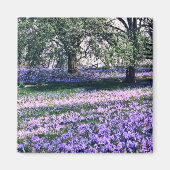 Longwood Gardens in de lente Magneet (Voorkant)