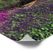 Longwood Gardens - Pennsylvania Poster (Hoek)