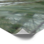 Lonley Cardinaal Poster (Hoek)