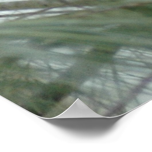 Lonley Cardinaal Poster (Hoek)