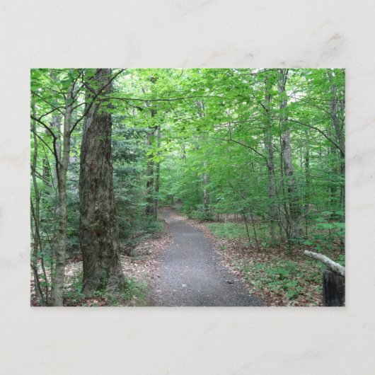 Lonous Lake Trail Briefkaart (Voorkant)